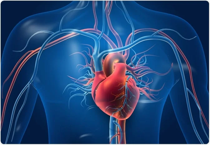 Современный подход в диагностике кардиологических заболеваний